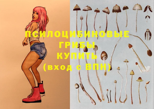 экстази Корсаков