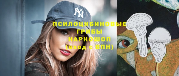 молекула духа Краснослободск